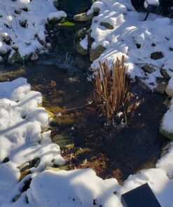 Aquascape 75000 Pond Air 2 (Double Outlet Aeration Kit) 2-Outlet 63 81FVM28macL