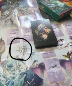 Spirit of the Animals Oracle 79 81FX0Z1CsgL