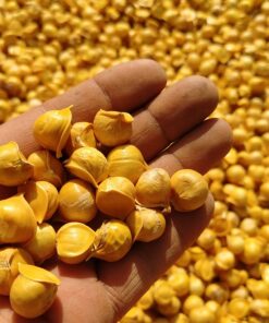 Japanese Garlic//Ajo Japones (100% Natural!!) 250 pieces 8 81FX5UH7WYL