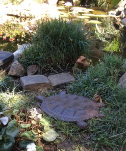 Sunset Vista Designs Cast Iron Turtle Garden Stepping Stone, 13-Inch long 17 81FY9fFLKNL