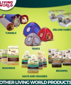 Living World - Spray Millet, 17.6 Oz – Premium Treat for Budgies, Canaries, Finches, Cockatiels and Other Pet Birds 1.1 Pound (Pack of 1) 18 81FYeiG7AfL