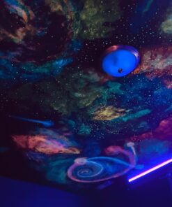 Neutral 5 Color Pack Glow in The Dark Pigment Powder - 12g Each, 60g Total Neutral 28 81FceaT5wDL