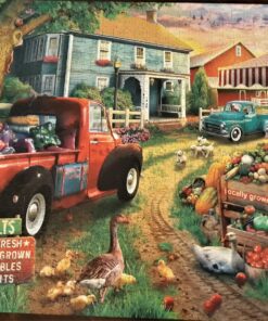 Buffalo Games - Quilt Farm - 1000 Piece Jigsaw Puzzle 35 81FfGtlBIqL