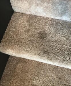 BISSELL Professional Power Shot Oxy Carpet Spot and Stain Remover, 14 ounces, 95C9 34 81Fh5SF73oL