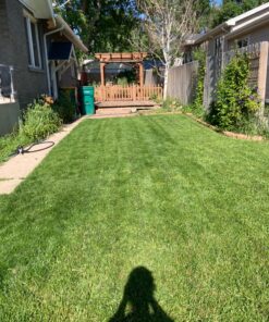 Scotts Turf Builder Grass Seed Sun & Shade Mix, Grows in Extreme Conditions & Spreads for a Durable Lawn, 7 lbs. 1 Pack 7 lb. 58 81FhlwKxYRL 1