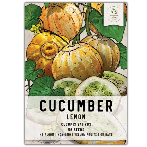 Seed Needs, Lemon Cucumber Seeds - 50 Heirloom Seeds for Planting Cucumis sativus - Fresh Yellow Fruits to Slice and Snack, Non-GMO & Untreated (1 Pack) 1 Pack (50 Seeds)