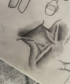 MozArt Mechanical Pencil Set with Case - 4 Sizes: 0.3, 0.5, 0.7 & 0.9mm with 30 HB Lead Refills Each & 4 Eraser Refills -Sketch, Drafting, Art, Drawing Supplies (Clear) Clear 76 81FlU52URL