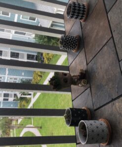 Shop Succulents | Assorted Collection of Live Succulent Plants, Hand Selected Variety Pack of Mini Succulents | | Collection of 5 in 2" pots 20 81FlcoTEvhL