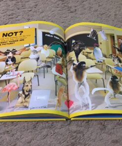 National Geographic Little Kids First Big Book of Why (National Geographic Little Kids First Big Books) 28 81FnGFp94IL