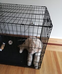 MidWest Homes for Pets Newly Enhanced Single Door iCrate Dog Crate, Includes Leak-Proof Pan, Floor Protecting Feet, Divider Panel & New Patented Features 47 81Fo0c5atL 2