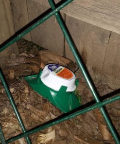 Terro 1806 Outdoor Liquid Ant Baits, 1.0 fl. oz. - 6 count 44 81FtF0jcQGL