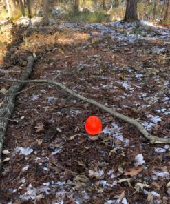 TR Industrial Forestry Safety Helmet and Hearing Protection System (Orange) Orange 32 81FuYXCy8OL