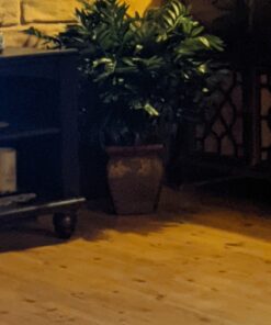 Nearly Natural 6718 35in. Double Bamboo Palm with Decorative Planter Silk Plant,Green Green 35in. 28 81FyjTLKvDL