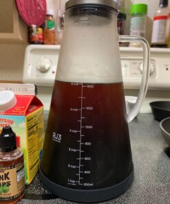 Airtight Cold Brew Iced Coffee Maker Pitcher (& Iced Tea Maker) with Spout – 1.5L/ 51oz Ovalware RJ3 Brewing Glass Carafe with Removable Stainless Steel Filter 1.5 Liter 38 81G54LRP0wL