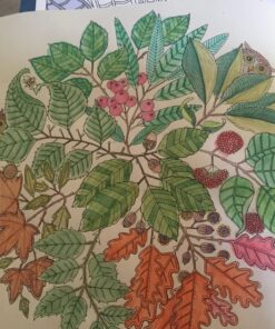 Secret Garden: An Inky Treasure Hunt and Coloring Book for Adults 111 81G5q6AVunL