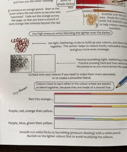 Colorist's Special Effects - color interior: Step by step guides to making your adult coloring pages POP! 40 81GAaN4agjL