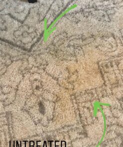 BISSELL Professional Power Shot Oxy Carpet Spot and Stain Remover, 14 ounces, 95C9 40 81GAozBcwHL