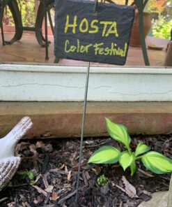 GardenMate 10-Pack Natural Style Slate Plant Labels (4"x 2 3/4") Hanging from a Stainless Steel Metal Rod (22") 10-Pack 4"x 2 3/4" Labels with 22" Metal Rod 35 81GDuidKugL