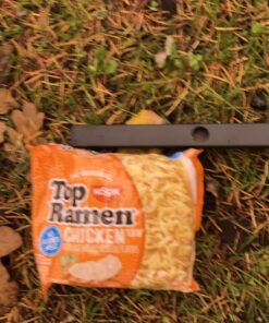 Coleman Trailhead II Camping Cot, Easy-to-Assemble Folding Cot Supports Campers up to 6ft 2in or 300lbs, Great for Camping, Lounging, & Elevated Sleeping Military Camping Cot 37 81GJnZMchL