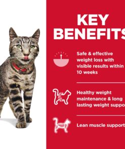 Hill's Science Diet Dry Cat Food, Adult, Perfect Weight for Healthy Weight & Weight Management, Chicken Recipe, 3 lb. Bag 3 Pound (Pack of 1) 29 81GK 75SdXL 1