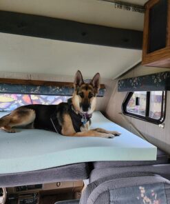 Hill's Science Diet Dry Dog Food, Adult, Sensitive Stomach & Skin, Chicken Recipe, 30 lb. Bag Chicken & Barley 30.00 Pound (Pack of 1) 34 81GM06I6m1L 2