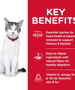 Hill's Science Diet Dry Cat Food, Adult 11+ for Senior Cats, Chicken Recipe, 15.5 lb. Bag 15.5 Pound (Pack of 1) 26 81GMreIf9JL