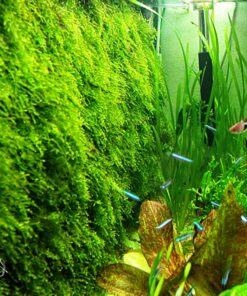 Alternative view of Luffy Decorative Wall or Floor Mesh Kit, 2 Pieces