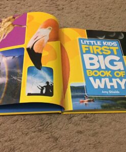 National Geographic Little Kids First Big Book of Why (National Geographic Little Kids First Big Books) 29 81GTqBnHDbL