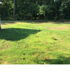 Scotts Turf Builder Grass Seed Bermudagrass, Mix for Full Sun, Built to Stand Up to Heat & Drought, 5 lbs. 5 lb. 85 81GVHHgbuEL