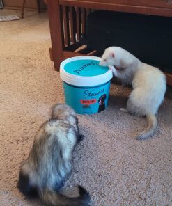 Stewart Freeze Dried Dog Treats, Beef Liver, Salmon, Chicken Liver & Chicken Breast, 3 oz, 4 oz, 12 oz, 14 oz, 21 oz, Resealable Tub, Grain Free & Gluten Free, Single Ingredient, Dog Training Treats 1.31 Pound (Pack of 1) 33 81GX0K00E1L