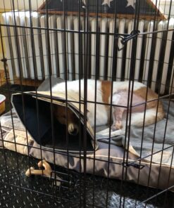 MidWest Homes for Pets Foldable Metal Dog Exercise Pen / Pet Playpen, Black w/ door, 24'W x 48'H, 1-Year Manufacturer's Warranty 48" H 45 81GXD1vC3L