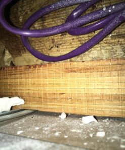 Pyle 8” Ceiling Wall Mount-Pair Of 2-Way Midbass Woofer Speaker Directable 1” Titanium Dome Tweeter Flush Design W/ 55Hz-22kHz Frequency Response & 300 Watts Peak Easy Installation- Pyle PDIC80,White Speakers 33 81GXY8brIjL