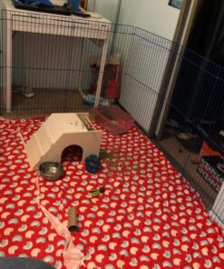 Kaytee Pet-N-Playpen with Mat for Pet Rabbits, Guinea Pigs, Ferrets or Other Small Animals 32 81GXyzuPXZL