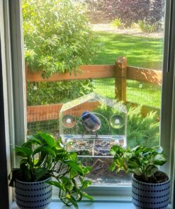 Wild Birds of Joy Bird House Window Bird Feeder with 4 Super Strong Suction Cups & Locking, Sliding Seed Tray, Extra Large, Clear Acrylic, Outdoor Bird Feeders, Outside View of Cardinal and Blue Jay 24 81GYn7WiweL 1