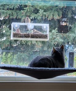 Extra Large Window Bird Feeders for Outside - Clear Bird Feeders for Viewing - Extra Strong Suction Cup Bird Feeder Window - Drainage Holes, Detachable Large Seed Tray, and Rubber Perch for Wild Birds Rectangular 33 81GbDzVbnrL