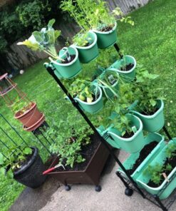 Watex Mobile Green Wall (Double Frame, Spring Bouquet), BPA Free Planters Double Frame 30 81Gc4KNLVcL