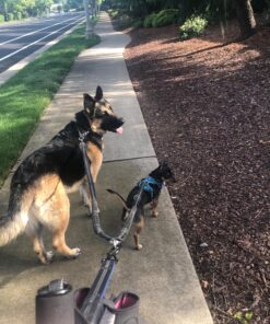 Pet Fit For Life 64" Premium Two Dog Leash: Premium Double Leash for Dogs, Provides Control and Comfort - Durable Foam Rubber Handle, Shock Absorbing Cord - Includes Bonus Collapsible Water Bowl Large 44 81GcZzVPpqL