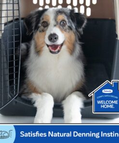 Petmate Sky Kennel, 36 Inch, IATA Compliant Dog Crate for Pets 50-70lbs, Made in USA Kennel Only 44 81GfLVPkKLL 1