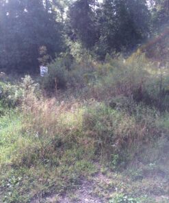 WeedShark The Original Pro String Trimmer Attachment 8 81GhyAJpWoL