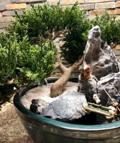 Artificial Japanese Cedar Bonsai Tree 9 inch Tall 23 81GitArRGTL