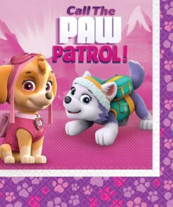 American Greetings Paw Patrol, Lunch Napkins, 16-Count Multicolored 12 81GjQPLVvoL