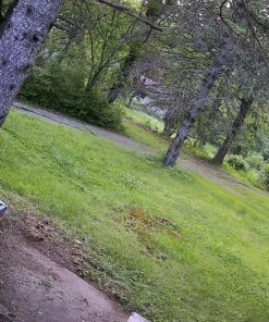 LaView 4MP Bulb Security Camera 2.4GHz,360° 2K Security Cameras Wireless Outdoor Indoor Full Color Day and Night, Motion Detection, Audible Alarm, Easy Installation, Compatible with Alexa White 37 81GlmsiyOL