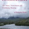 Consolations: The Solace, Nourishment and Underlying Meaning of Everyday Words 16 81GnkYqf8S