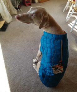 Kurgo Loft Dog Jacket, Reversible Dog Coat, Wear with Harness or Sweater, Water Resistant, Reflective, Winter Coat For Large Dogs (Coastal Blue, XL) Extra Large Coastal Blue/Orange 48 81Got1xlUFL