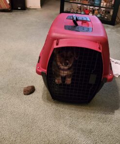 Petmate Pet Porter Fashion Dog Kennel 26", Parisian Blue & Black, for Pets 20-25lbs, Made in USA 26.0"L x 18.6"W x 16.5"H 43 81GprHl3lgL