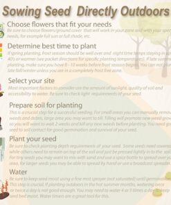 Outsidepride Ratibida Mexican Hat Wild Flower Attractant & Pollinator for Bees & Butterflies - 5000 Seeds 17 81Gs4z48E2L 3