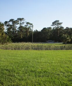 Jenlis The Original Weed Razer, Lake Weed Cutter, Large Pond Aquatic Plant Cutting Tool, Long and Sharp Razor Blades Shear Cattail, Reed, Lilly & Chara Algae, 48 Inch Cut Width, 25 Foot Throw Rope Jenlis Weed Razer Aquatic Weed Cutter 48 81Gwubjh0IL 1