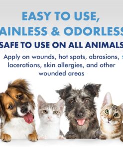 PetSilver Wound & Skin Spray with Chelated Silver, Allergy Relief for Dogs Itching, Hot Spot Treatment for Dogs, Cat and Dog Wound Care, All Natural Skin Soother for Dogs, Made in USA, 8 fl oz 8 oz 13 81GxteCDWUL