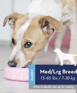 KONG Puppy Tires - Durable Puppy Chew Toy - Soft Rubber Treat Toys for Puppies & Dogs - Stuffable Dog Chew Toy - Puppy Teething Toy for Fetch & Mental Enrichment - Tire Chew Toy - Medium/Large Puppies 26 81H Ekke5ML 2