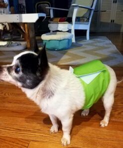 PET MAGASIN Male Dog Belly Manner Band Wraps Nappies, 3-Pack, Blue Green and Purple, Small Solid Small (13"-15" Waist) 38 81H IAi6RL